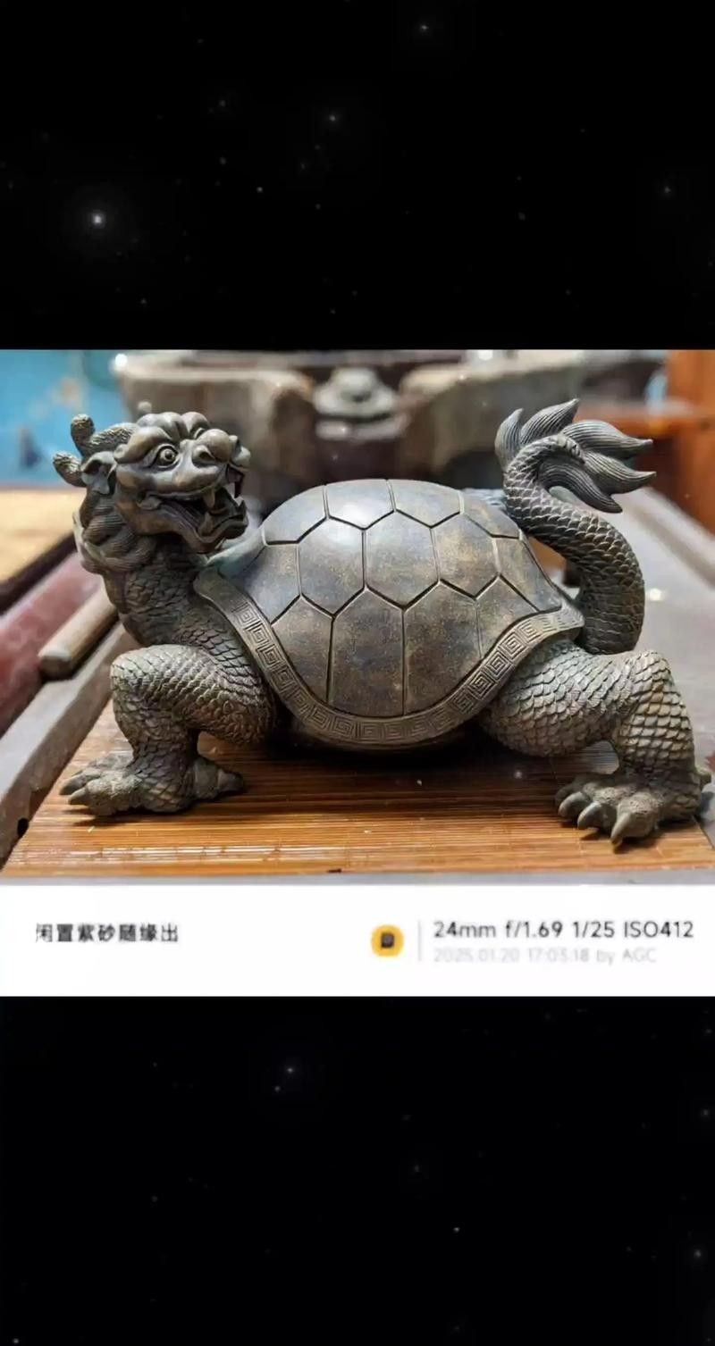 龍龜圖片有哪些材質選擇（藏玉直播×最牛“龜王”） 龍龜圖片有哪些材質選擇（藏玉直播×最牛“龜王”） 龍魚百科 第15張