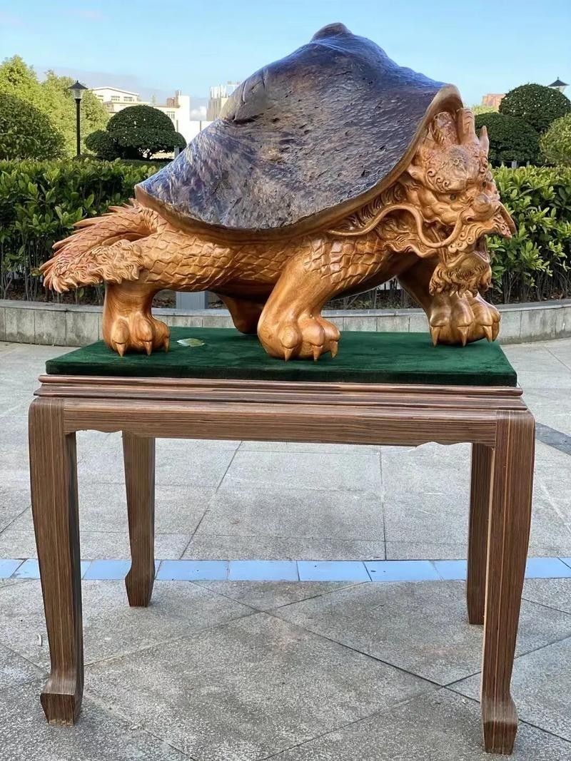 龍龜圖片有哪些材質選擇（藏玉直播×最牛“龜王”） 龍龜圖片有哪些材質選擇（藏玉直播×最牛“龜王”） 龍魚百科 第25張