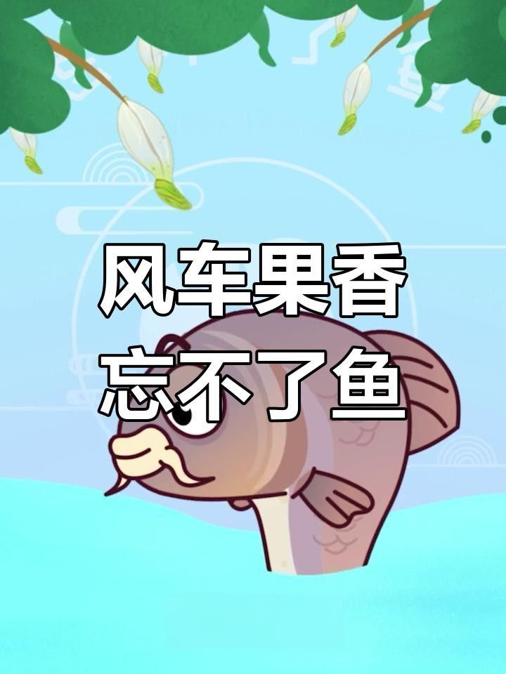 馬來西亞忘不了魚就是鯉魚（馬來西亞忘不了魚并非普通鯉魚而是鯉科鲃亞科結魚屬獨立物種）