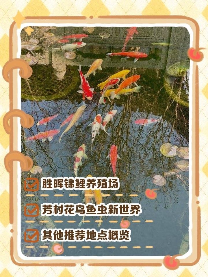 廈門龍魚養殖基地哪家最好