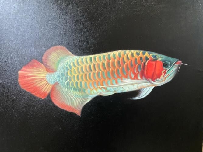 有哪些著名的龍魚畫作？（中國傳統水墨畫中的龍魚畫作）