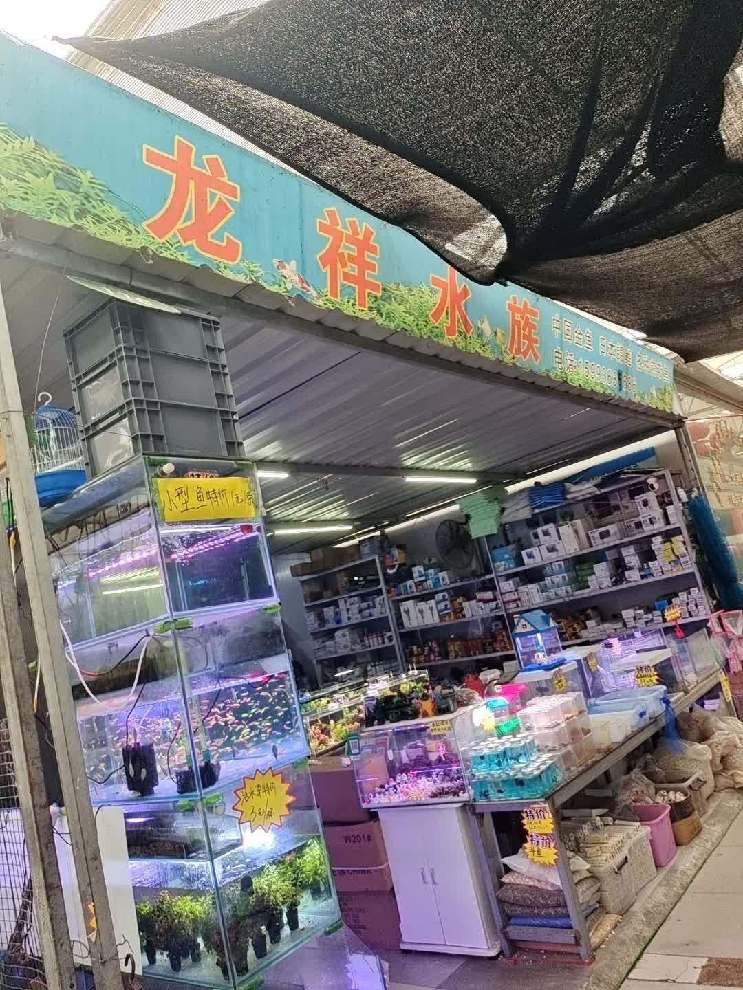 許昌哪個(gè)水族館龍魚好？祥龍魚場龍魚（河南省許昌市祥龍魚場）