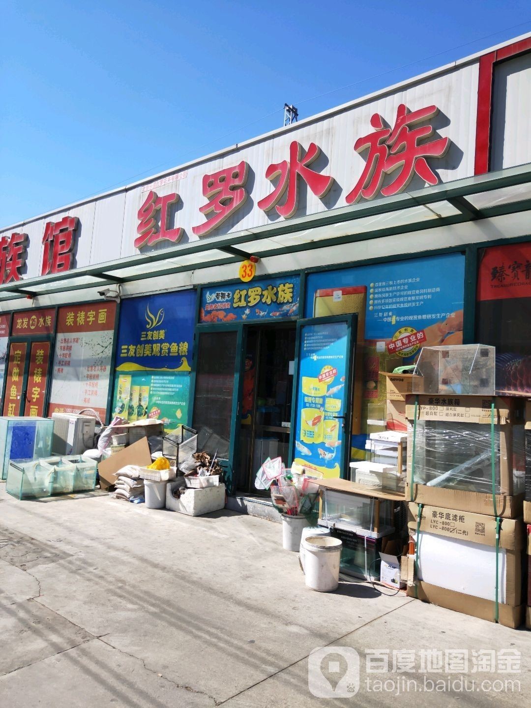 仁和哪個水族館龍魚好？祥龍魚場龍魚（仁和區哪個水族館龍魚好）