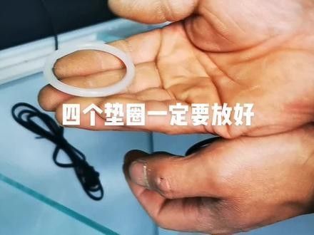 博世龍魚缸有哪些型號？（博世龍魚缸型號介紹） 博世龍魚缸有哪些型號？（博世龍魚缸型號介紹） 龍魚百科 第8張