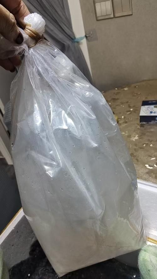 白子紅龍的市場價格是多少?(白子紅龍的市場價格) 龍魚百科 第2張 白子紅龍的市場價格是多少?(白子紅龍的市場價格) 白子紅龍的市場價格是多少?(白子紅龍的市場價格) 龍魚百科 第2張