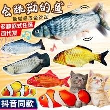 白子紅龍的市場價格是多少？（白子紅龍的市場價格） 白子紅龍的市場價格是多少？（白子紅龍的市場價格） 龍魚百科 第12張