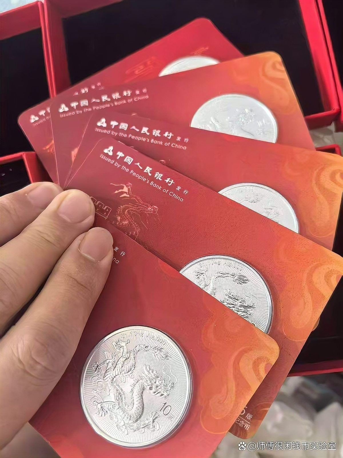白子紅龍的市場價格是多少？（白子紅龍的市場價格） 白子紅龍的市場價格是多少？（白子紅龍的市場價格） 龍魚百科 第17張