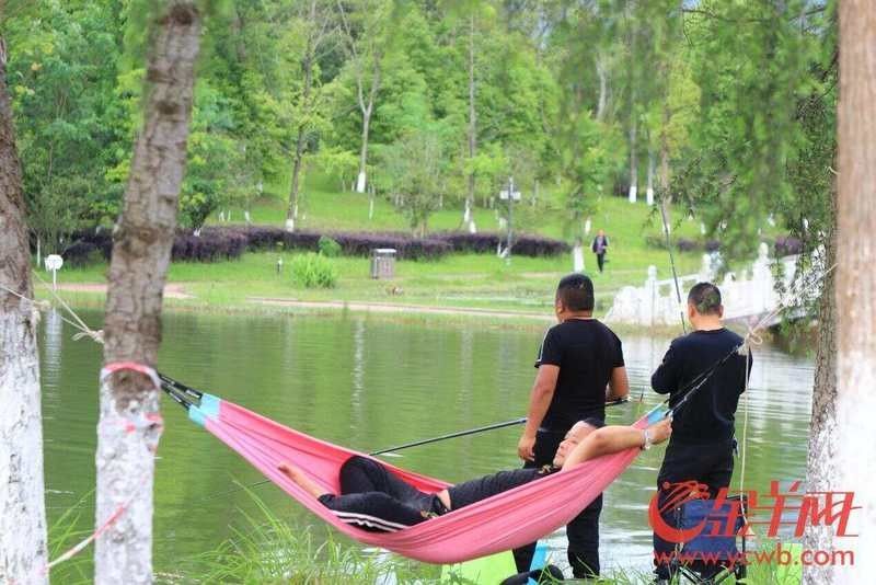 拍攝龍水湖野生動物的最佳季節（拍攝野生動物的最佳季節）