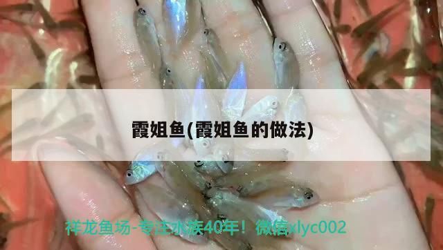 魚缸用增氧泵價格是多少:魚缸增氧機-xtrac增氧機-xtrac增氧機 霞姐魚(霞姐魚的做法)(佛山順德區均安蒸豬的美食——霞姐魚) 觀賞魚百科 霞姐魚(霞姐魚的做法)(佛山順德區均安蒸豬的美食——霞姐魚) 霞姐魚(霞姐魚的做法)(佛山順德區均安蒸豬的美食——霞姐魚) 觀賞魚百科