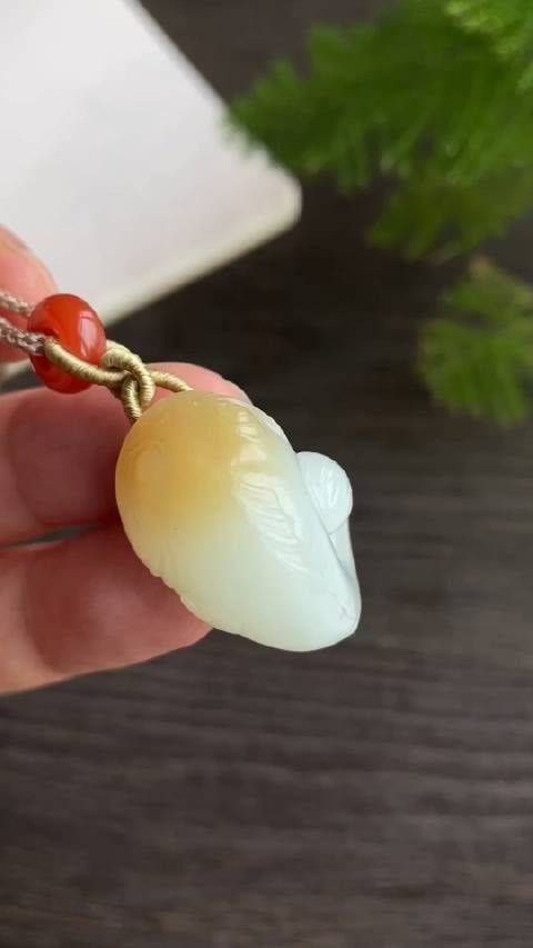 且末金山礦糖白龍魚（且末金山礦糖白龍魚的市場價值如何，且末金山礦糖白龍魚市場價值） 且末金山礦糖白龍魚（且末金山礦糖白龍魚的市場價值如何，且末金山礦糖白龍魚市場價值） 觀賞魚百科 第4張