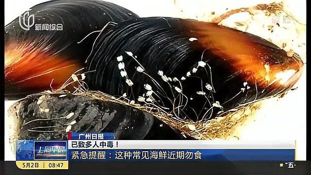 如何預(yù)防火龍魚(yú)毒素中毒？（蘭超主任醫(yī)師三甲魚(yú)高錳酸鉀中毒怎么預(yù)防火龍魚(yú)毒素中毒）