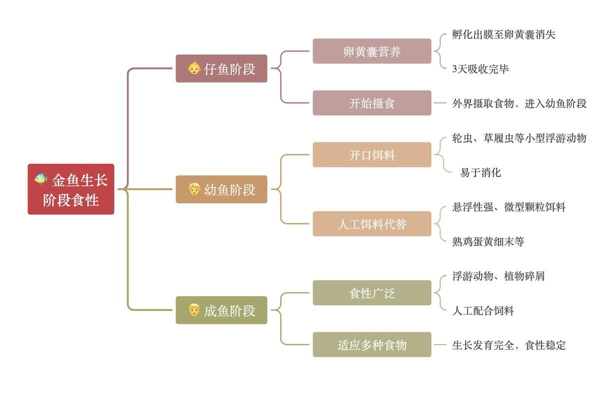 如何判斷魚缸是否適合再添一條魚（魚缸是否適合再添一條魚）