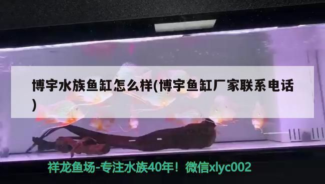 博宇水族魚缸怎么樣(博宇魚缸廠家聯系電話)（博宇水族魚缸品牌mr410買博宇水族魚缸怎么樣）