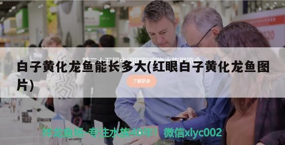 哈密魚缸底柜圖片大全大圖（哈密賣魚缸的地方）（哈密魚缸底柜的底柜圖片大全大全50厘米，魚缸底柜該怎么選）