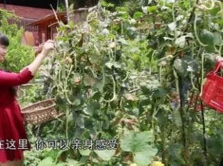 北流龍安小漁村（廣西北流龍安小漁村）