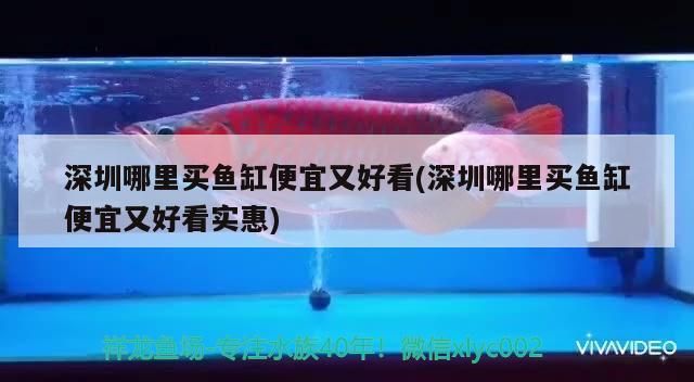 水族燈 深圳哪里買魚缸便宜又好看(深圳哪里買魚缸便宜又好看實惠)(深圳哪里買魚缸便宜又好看) 觀賞魚百科 深圳哪里買魚缸便宜又好看(深圳哪里買魚缸便宜又好看實惠)(深圳哪里買魚缸便宜又好看) 深圳哪里買魚缸便宜又好看(深圳哪里買魚缸便宜又好看實惠)(深圳哪里買魚缸便宜又好看) 觀賞魚百科