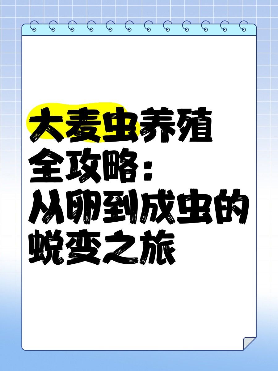大麥蟲多久化成蛹（大麥蟲從幼蟲到化蛹的蛻變之旅）
