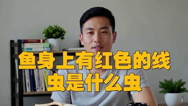淡水海龍魚吃紅蟲的頻率是多少？（養龍魚應該注意些什么喂魚，最簡單的卻最容易犯錯）