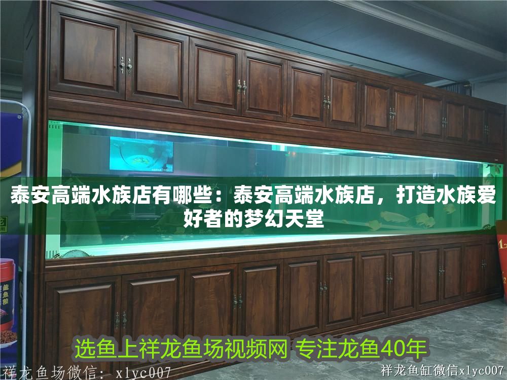 泰安高端水族店有哪些：泰安高端水族店，打造水族愛好者的夢幻天堂（泰安高端水族店） 泰安高端水族店有哪些：泰安高端水族店，打造水族愛好者的夢幻天堂（泰安高端水族店） 觀賞魚百科 第1張