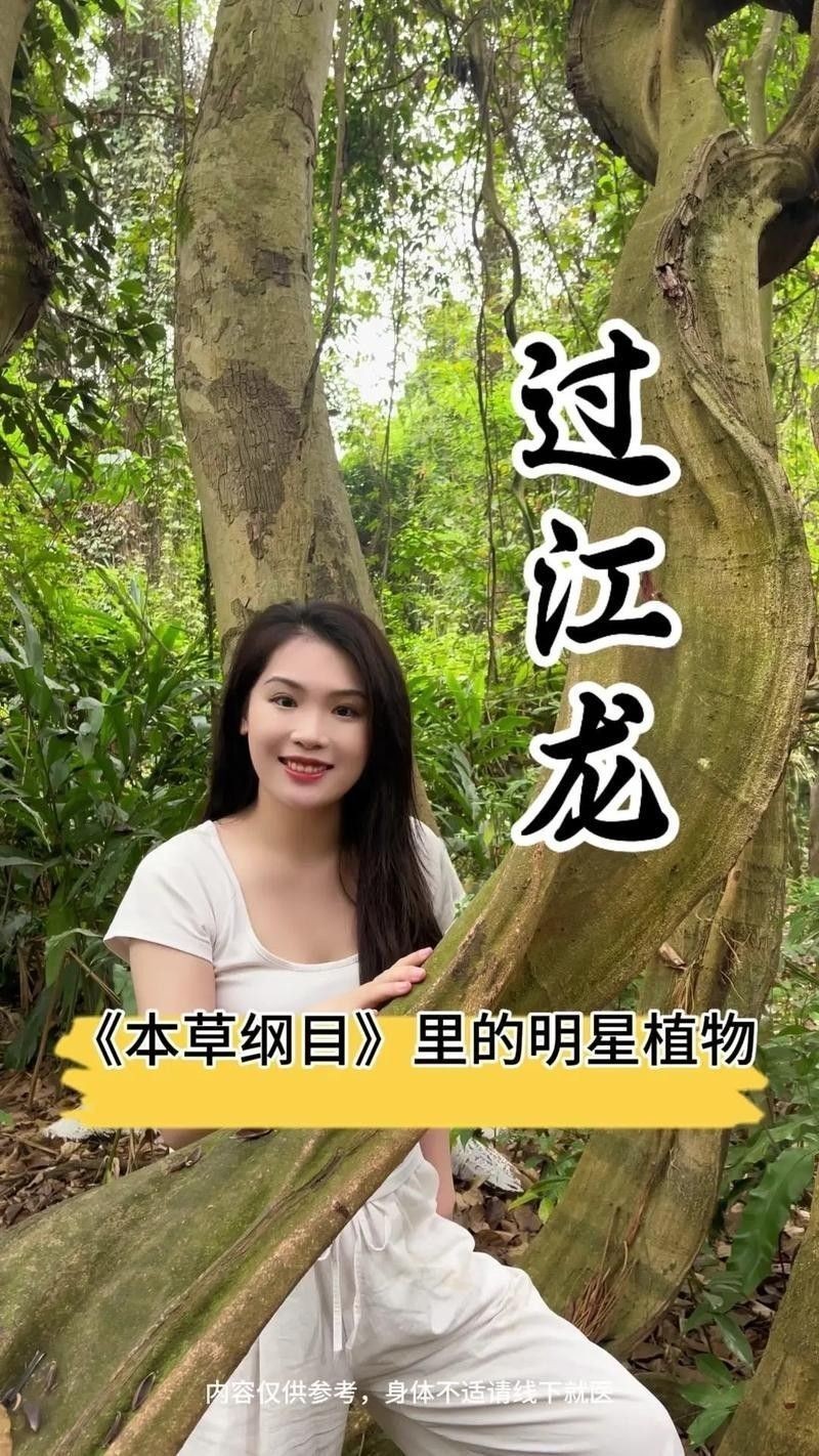 過(guò)江龍魚(yú)的價(jià)格是多少(過(guò)江龍魚(yú)價(jià)格多少錢一條) 龍魚(yú)百科 第1張 過(guò)江龍魚(yú)的價(jià)格是多少(過(guò)江龍魚(yú)價(jià)格多少錢一條) 過(guò)江龍魚(yú)的價(jià)格是多少(過(guò)江龍魚(yú)價(jià)格多少錢一條) 龍魚(yú)百科 第1張