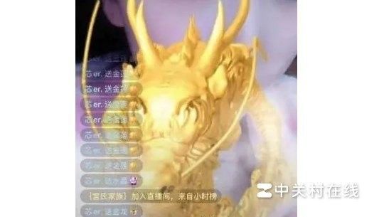 快手上有哪些虛擬禮物（快手極速版快幣有什么用圖圖有什么用圖圖有觀點） 快手上有哪些虛擬禮物（快手極速版快幣有什么用圖圖有什么用圖圖有觀點） 龍魚百科 第4張