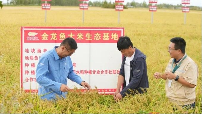 金龍魚米業(yè)未來有哪些合作計(jì)劃？（金龍魚米業(yè)與國際合作伙伴有哪些跨界營銷合作計(jì)劃）
