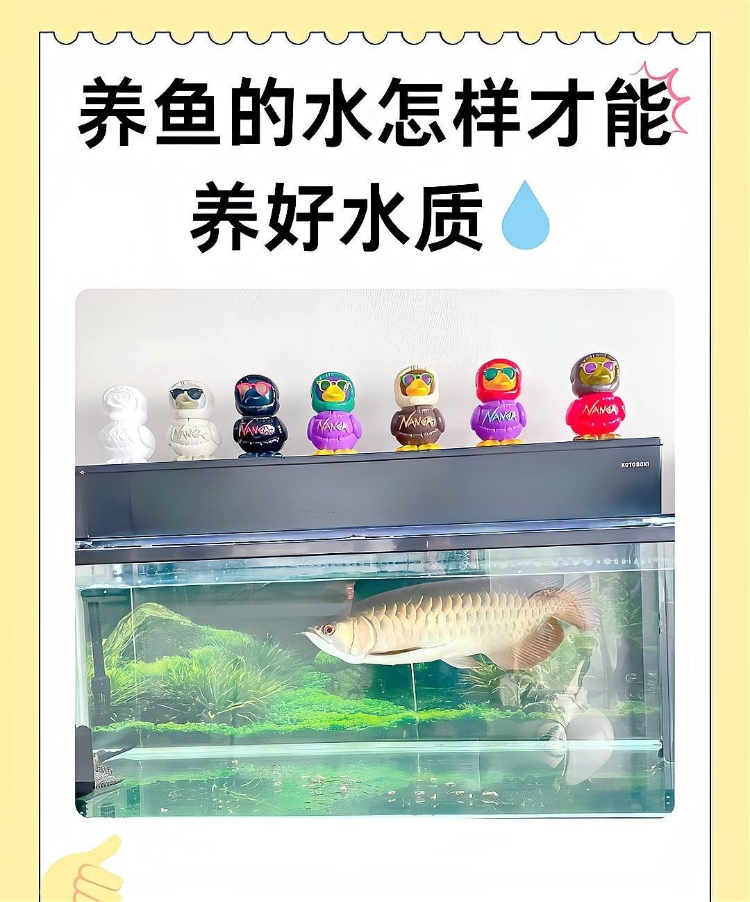 混養(yǎng)初期如何調(diào)整水質(zhì)？（養(yǎng)魚初期調(diào)整水質(zhì)是確保魚類健康生長的關鍵步驟和建議）