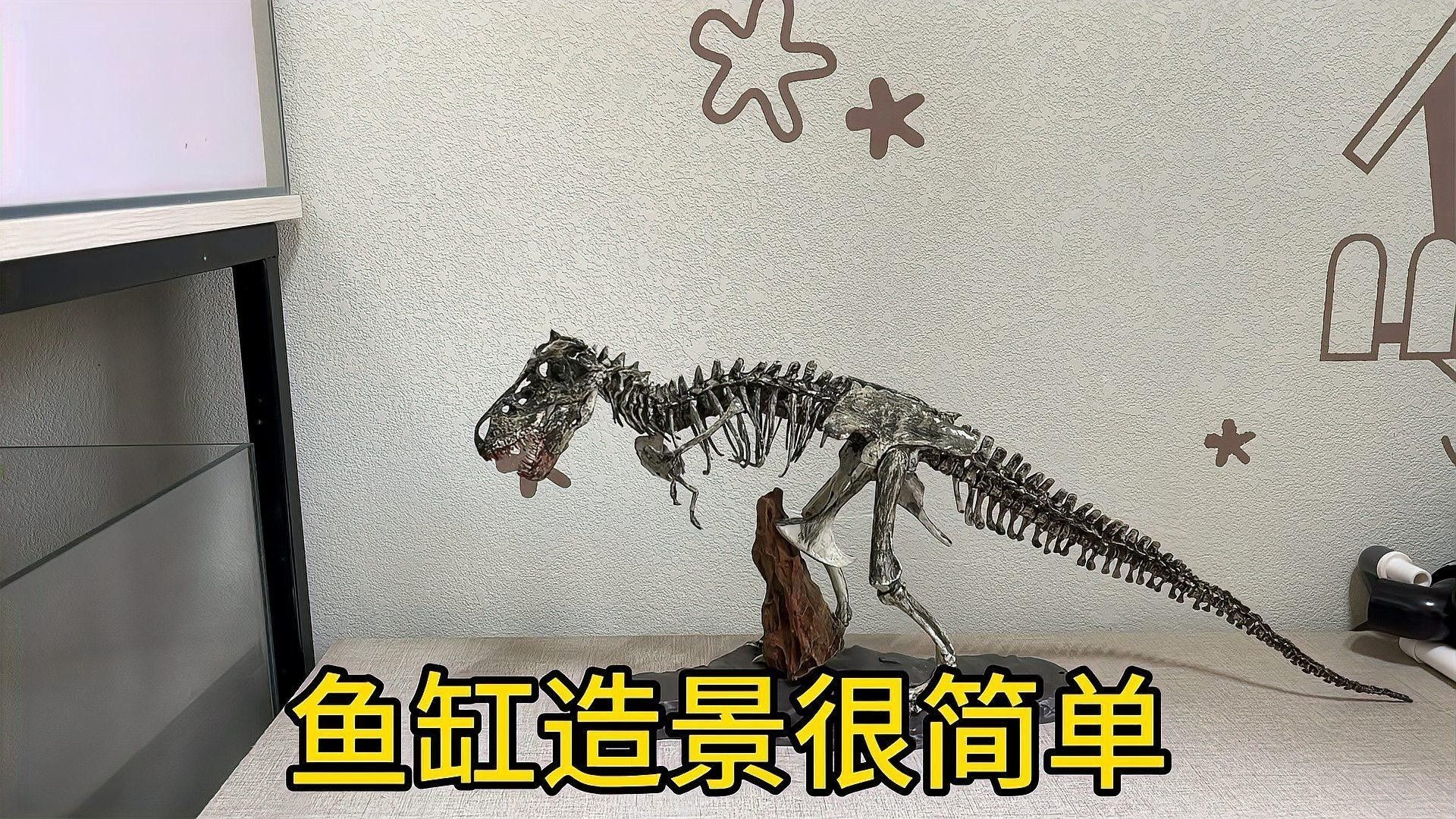 龍魚缸造景需要哪些材料（藍里個藍龍魚缸造景大揭秘小而美也能游刃有余飯飯不饞）