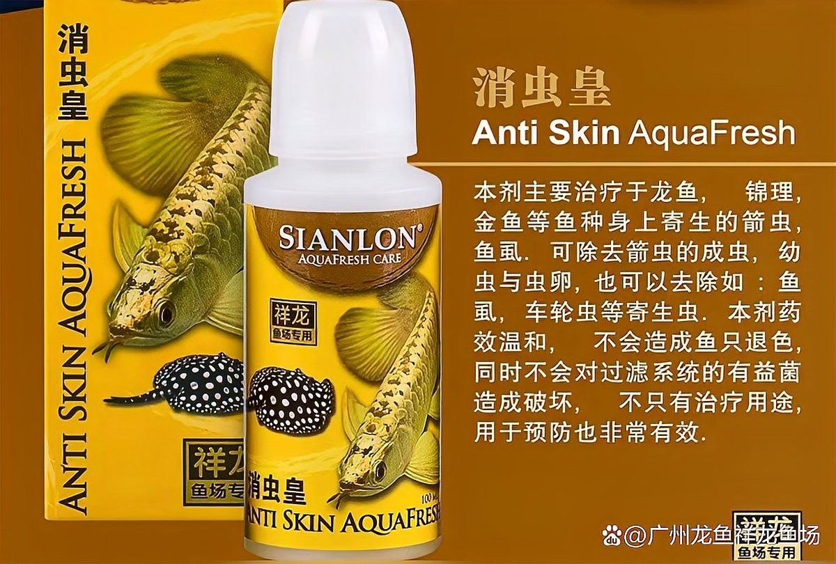 龍魚內(nèi)外寄的最佳治療藥物（關(guān)于龍魚內(nèi)外寄的最佳治療藥物）