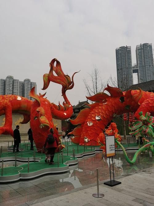 鄉寧龍魚屬于什么檔次（鄉寧龍魚有哪些獨特的品種，） 鄉寧龍魚屬于什么檔次（鄉寧龍魚有哪些獨特的品種，） 觀賞魚百科 第6張