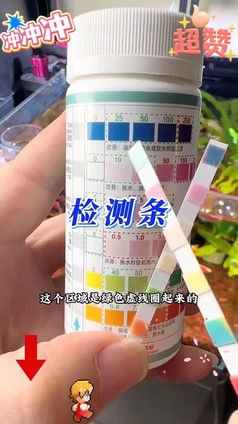 龍魚(yú)水質(zhì)檢測(cè)試紙推薦品牌（魚(yú)缸水質(zhì)監(jiān)測(cè)排行榜京東養(yǎng)魚(yú)測(cè)水質(zhì)排行榜京東養(yǎng)魚(yú)測(cè)水質(zhì)排行榜）