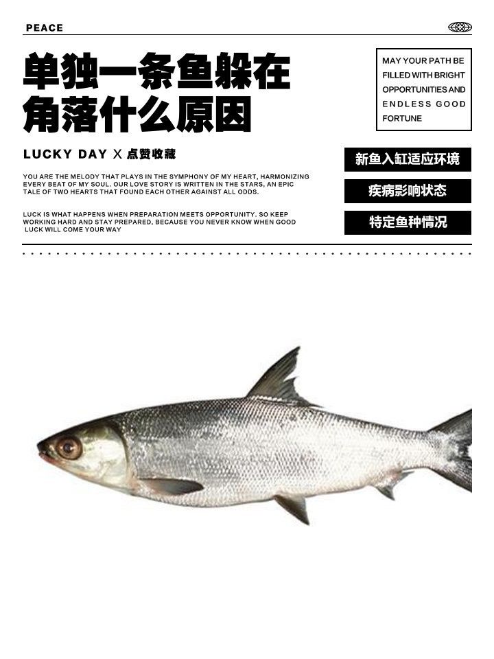 金龍魚躲在角落是生病了嗎（金龍魚躲在角落怎么辦）