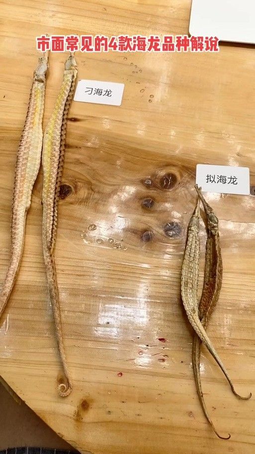 如何辨別海龍的真偽？（太平洋汽車如何判斷海龍燃油寶的真偽）