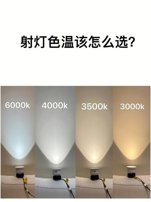 龍魚燈色溫越深越好還是越淺越好（龍魚發色與燈光選擇）