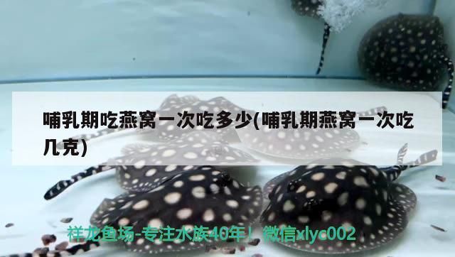 哺乳期吃燕窩一次吃多少(哺乳期燕窩一次吃幾克)（哺乳期吃燕窩一次吃多少）