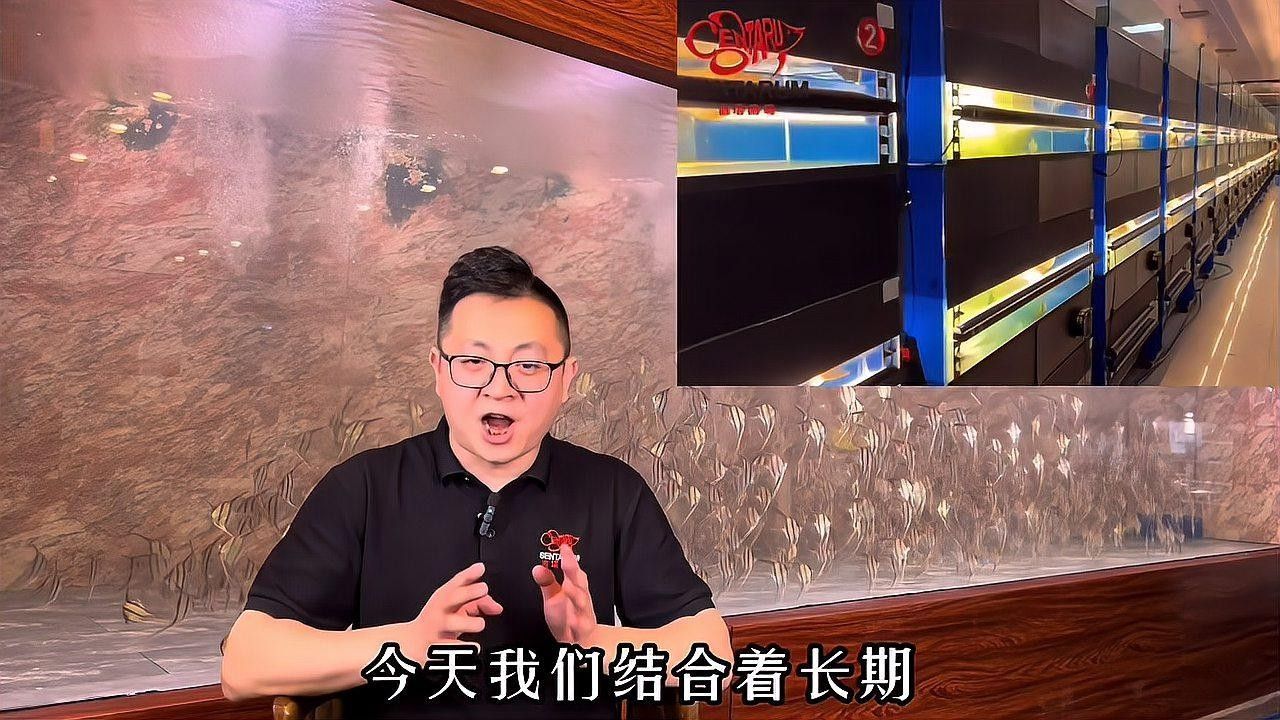 龍魚換水加鹽的具體步驟是什么（新手養魚必讀:如何正確換水、加鹽避開這5大誤區） 龍魚換水加鹽的具體步驟是什么（新手養魚必讀:如何正確換水、加鹽避開這5大誤區） 龍魚百科 第1張