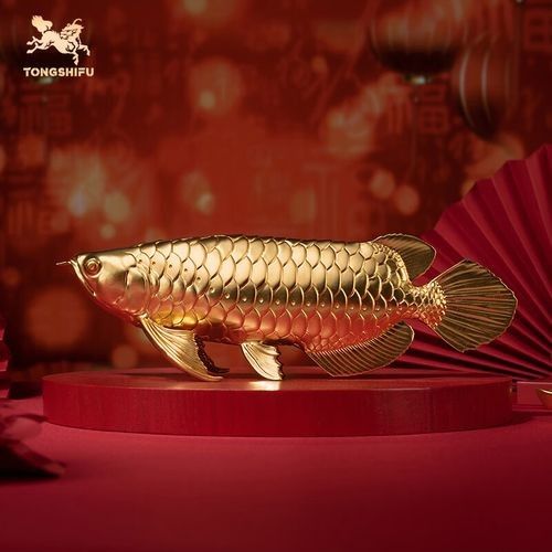 有哪些品牌的金龍魚擺件推薦？