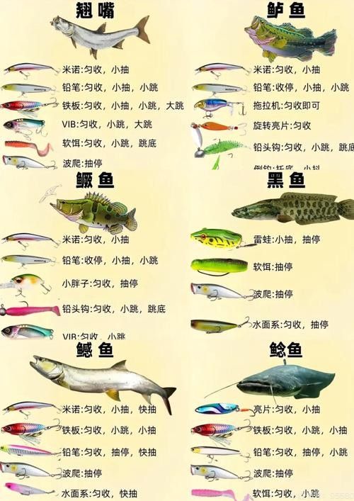 如何判斷活餌是否新鮮？（如何判斷活餌是否新鮮）