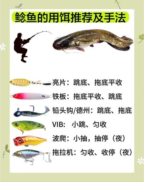 如何判斷活餌是否新鮮？（如何判斷活餌是否新鮮）