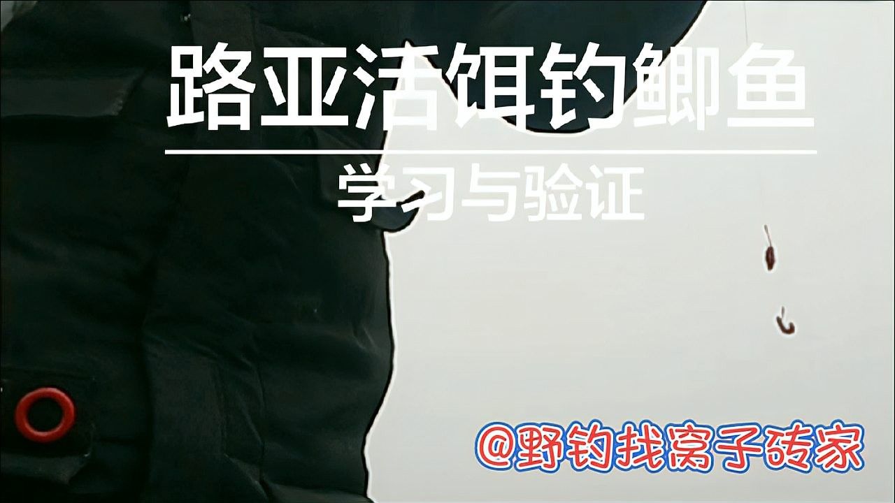 如何判斷活餌是否新鮮？（如何判斷活餌是否新鮮）
