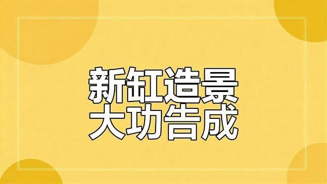 龍魚混養水草需要哪些特殊設備？（魚混養水草需要特殊的設備來確保水質的穩定和適宜）