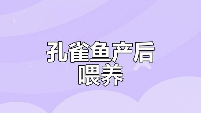 孔雀魚產后需要投喂什么食物（孔雀魚產后需要投喂哪些食物）