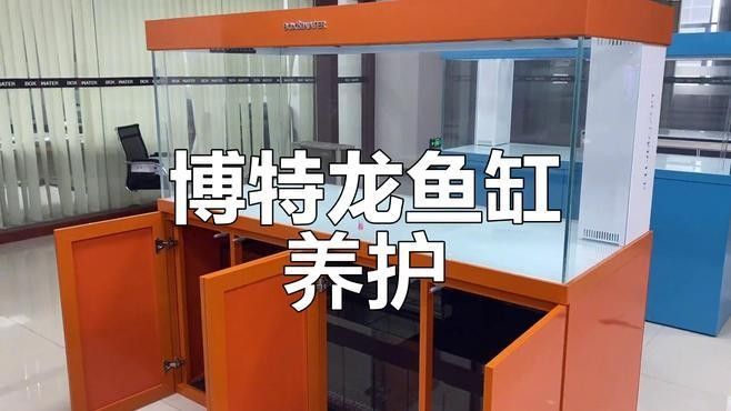 推薦一些高端龍魚缸品牌（2025年高端龍魚缸品牌及其特點：*aquariummaster） 推薦一些高端龍魚缸品牌（2025年高端龍魚缸品牌及其特點：*aquariummaster） 龍魚百科 第9張