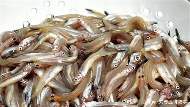 銀古魚苗養殖水質要求：養殖銀古魚苗所需的水質條件和維持方法