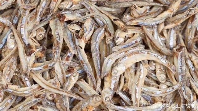 銀古魚苗養殖水質要求：養殖銀古魚苗所需的水質條件和維持方法