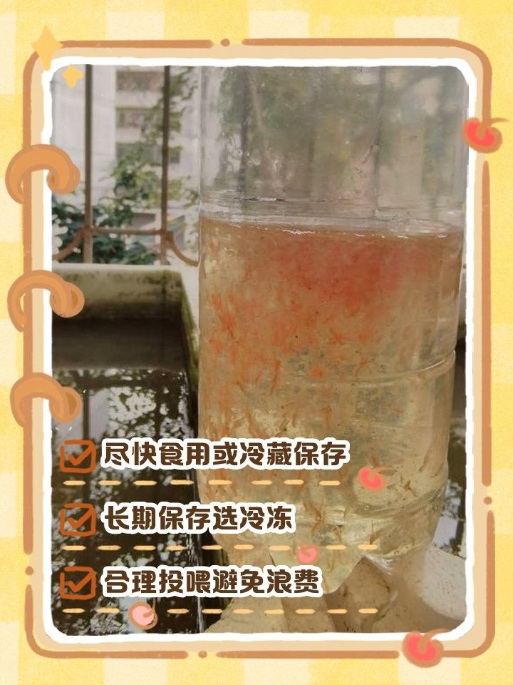 冷凍豐年蝦和紅蟲能保存多久？（冷凍豐年蝦和紅蟲的保存方式） 冷凍豐年蝦和紅蟲能保存多久？（冷凍豐年蝦和紅蟲的保存方式） 龍魚百科 第2張