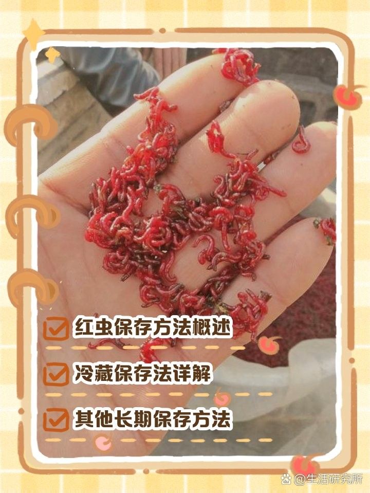 冷凍豐年蝦和紅蟲能保存多久？（冷凍豐年蝦和紅蟲的保存方式） 冷凍豐年蝦和紅蟲能保存多久？（冷凍豐年蝦和紅蟲的保存方式） 龍魚百科 第9張