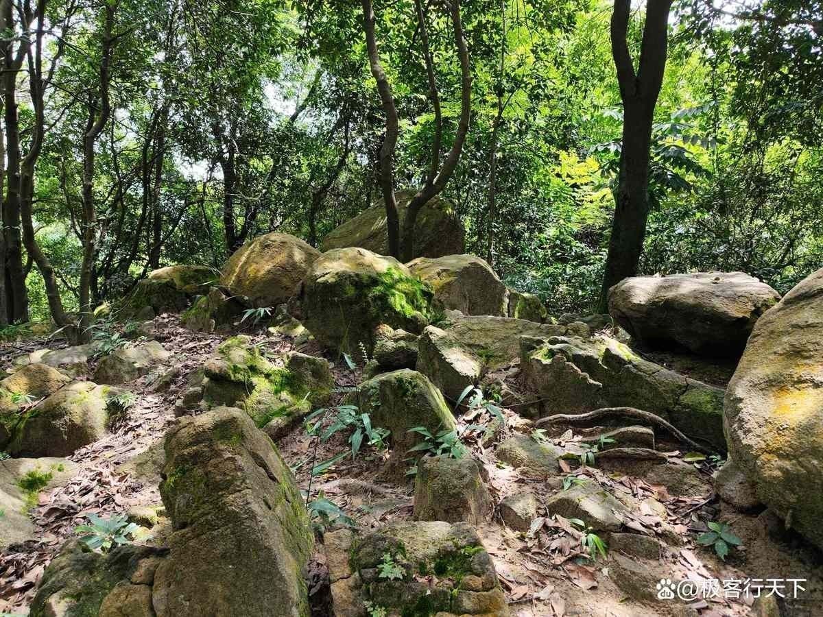 龍漁線的難度如何