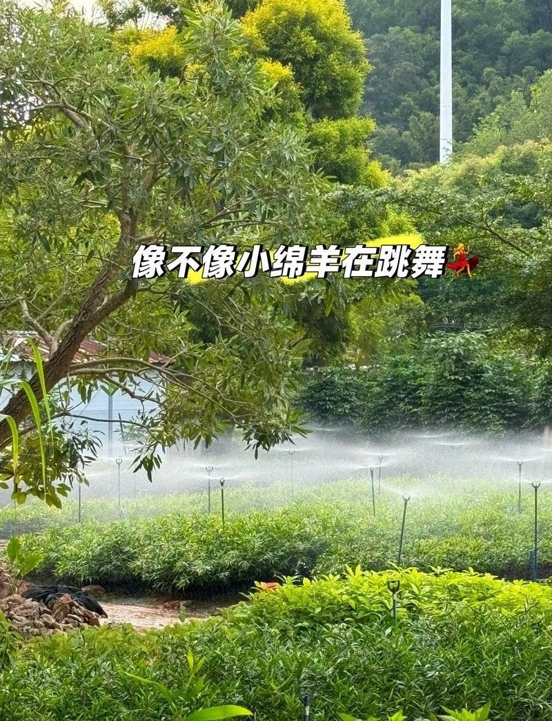 龍漁線的難度如何