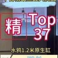 北京龍魚漁場哪家口碑最好？（北京龍魚漁場哪家口碑最好）